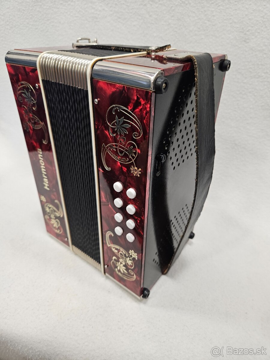 Heligonka harmonika weltmeister - 6