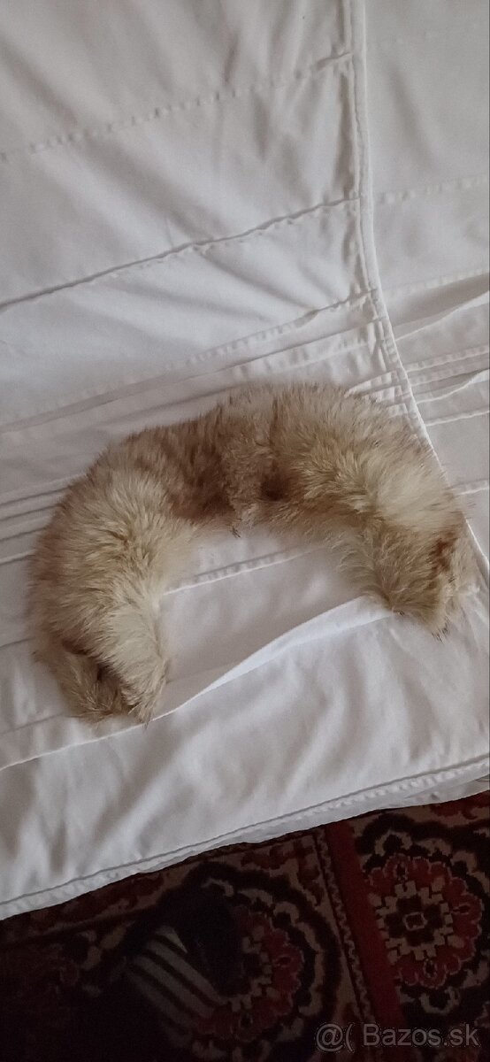 Golier- čiapka polárna líška - 6