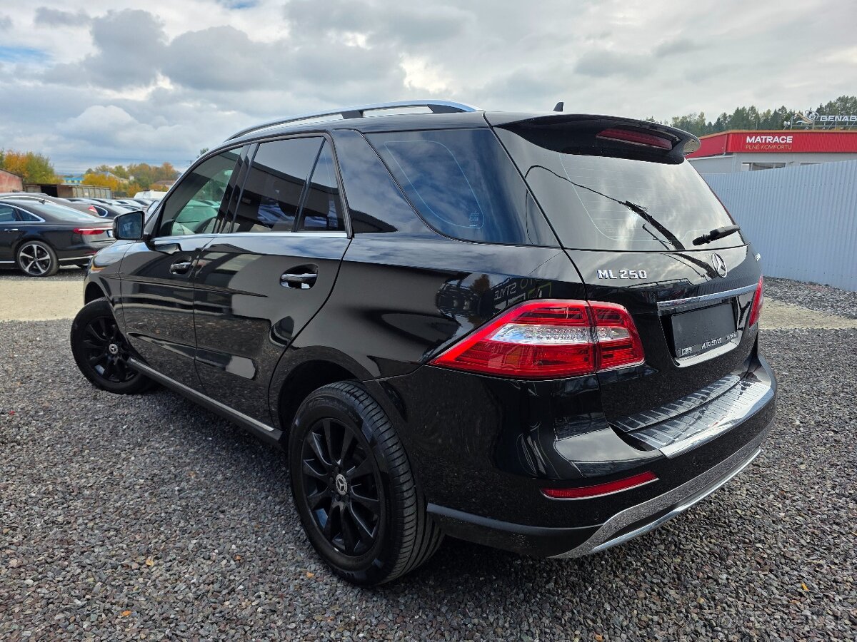 Mercedes-Benz ML 250 BlueTEC 4MATIC A/T - 6