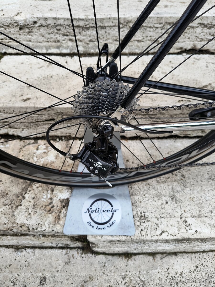 Basso campagnolo - 6