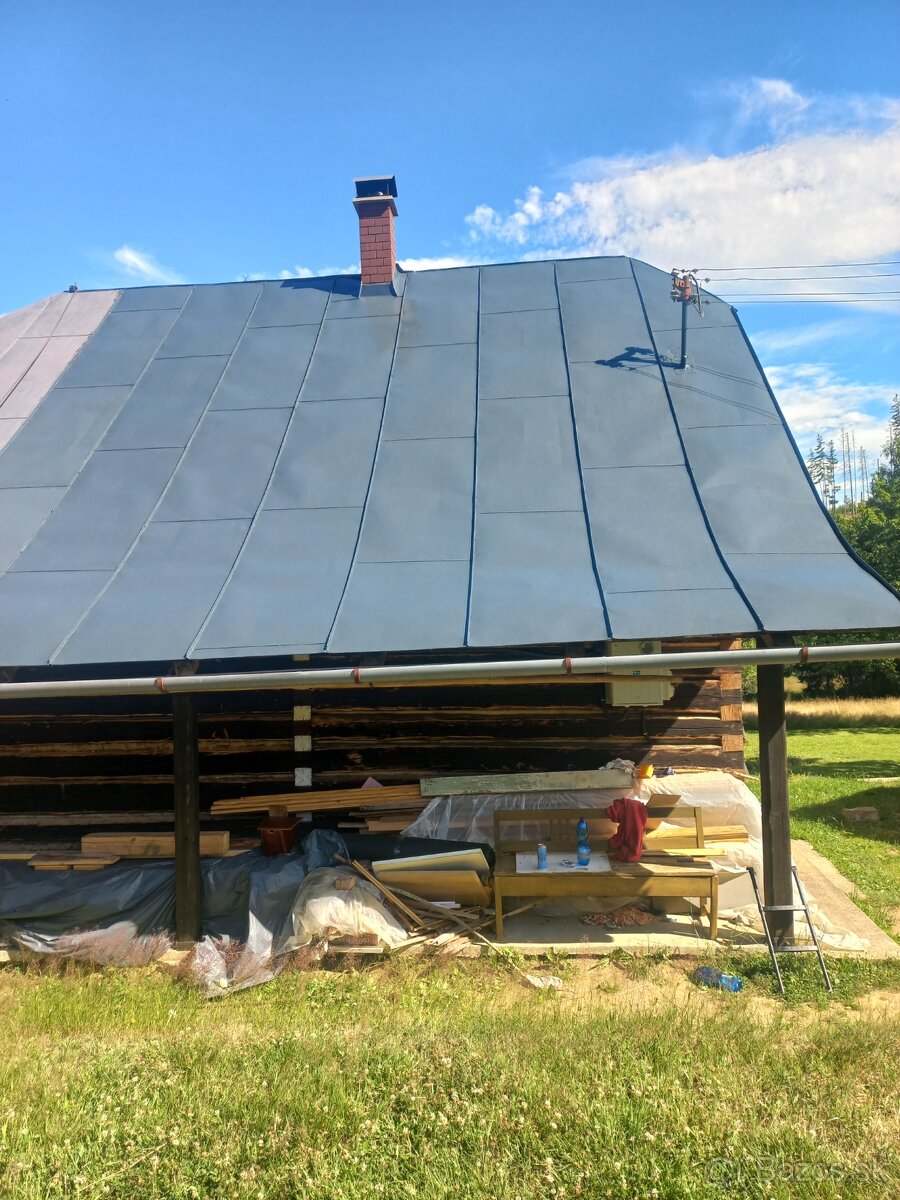 ✅️✅️✅️Nátery striech natieranie maľovanie N_12x - 6