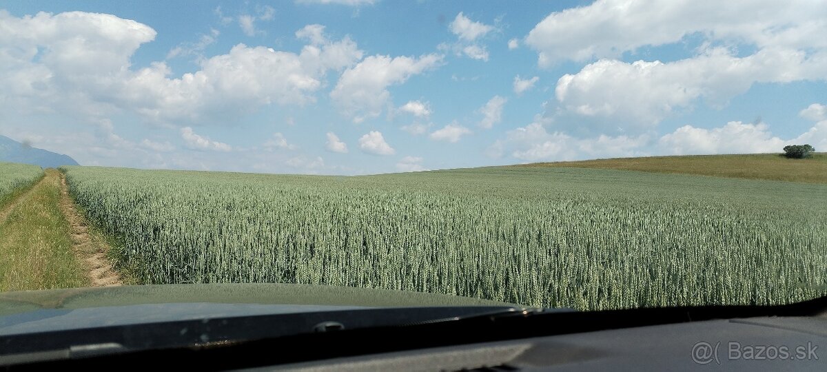 Predam nove domace zemiaky, pšenicu, jačmeň. - 6