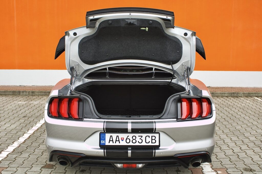 Ford Mustang 2,3l Shelby dizajn 2020 - 6