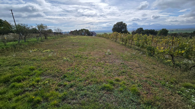 Veľký pozemok v obci Rybník - časť Kráľovka o výmere 3097 m2 - 6