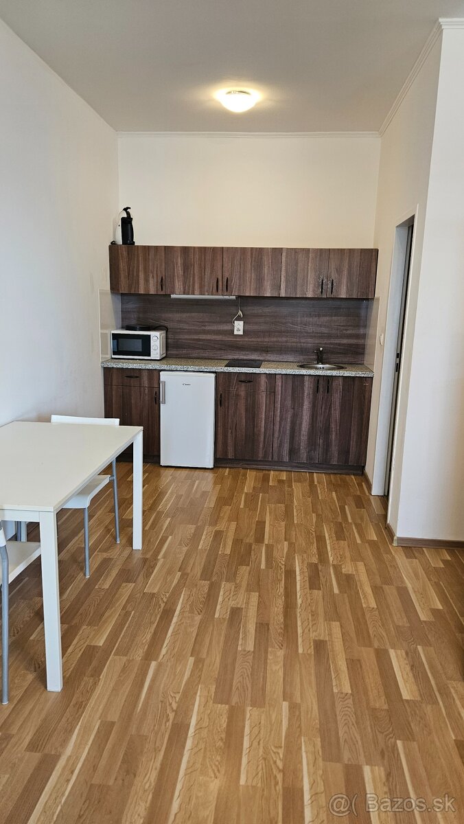 Prenájom 1-izbového bytu - 6