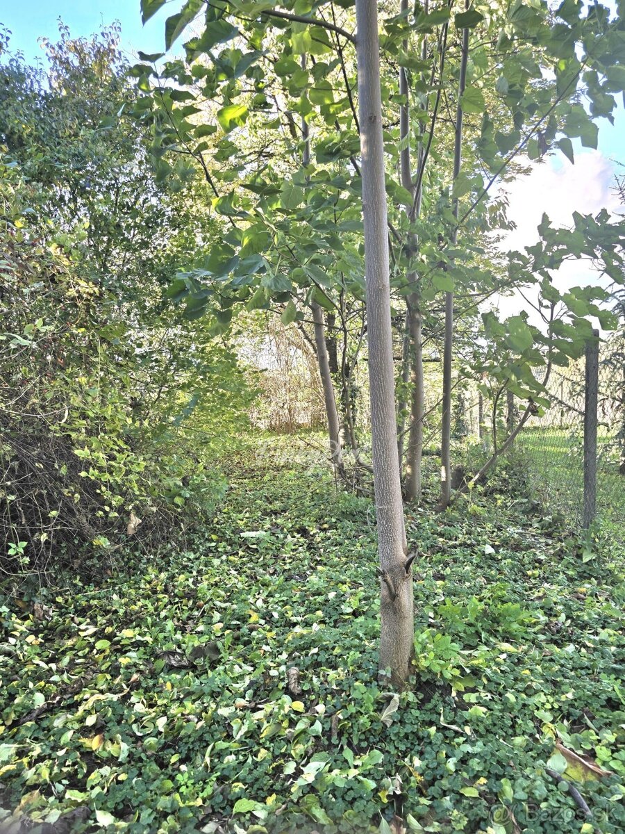 Pinky Real - Karpaty na dosah: Kúpte dom, vytvorte si život - 6