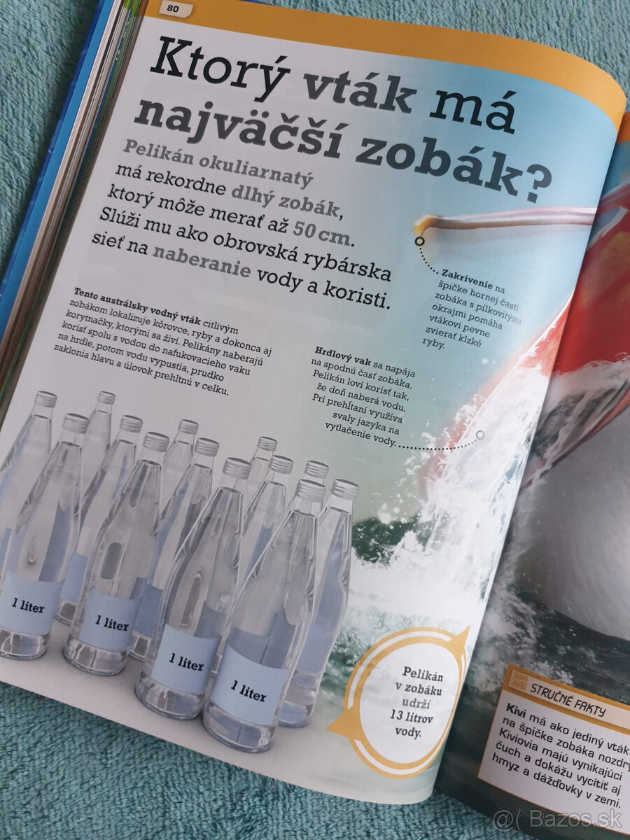Neuveriteľný svet zvierat - encyklopedia - 6