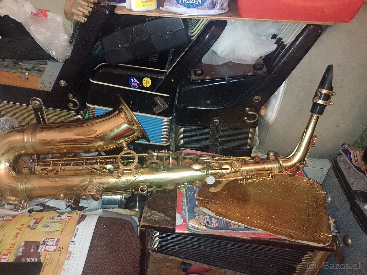 Akordeón Harmonika Saxafon - 6