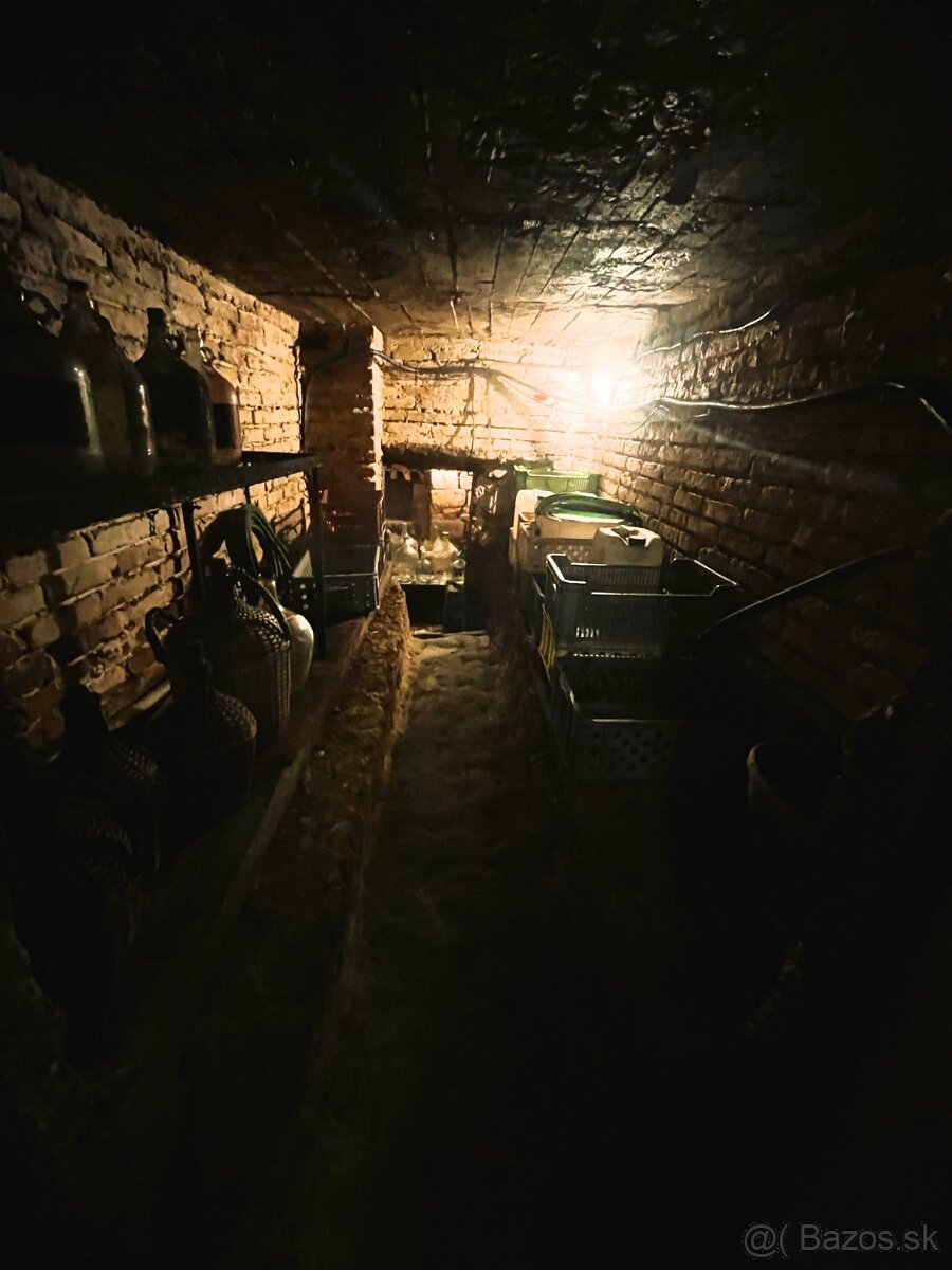 Záhradný domček so slnečným pozemkom Levice - Kalinčiakovo - 6