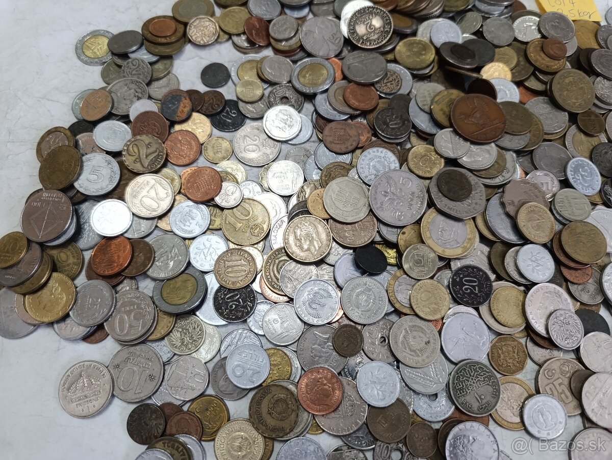 Mince 2.5kg lot4 - 6