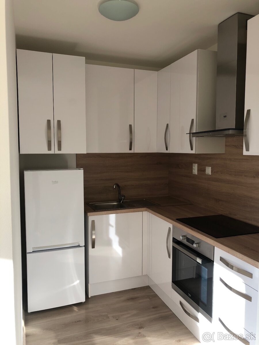 Prenájom 1izbovy byt - 6