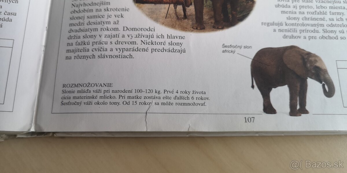 4 DETSKE ILUSTROVANE ENCYKLOPÉDIE - IBA OSOBNÝ ODBER - 6