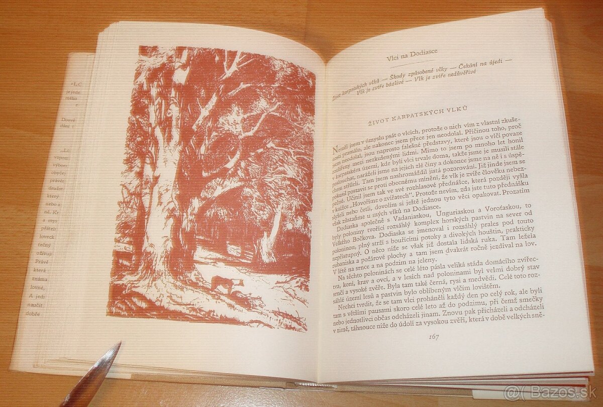 Lovy v Karpatech - 6