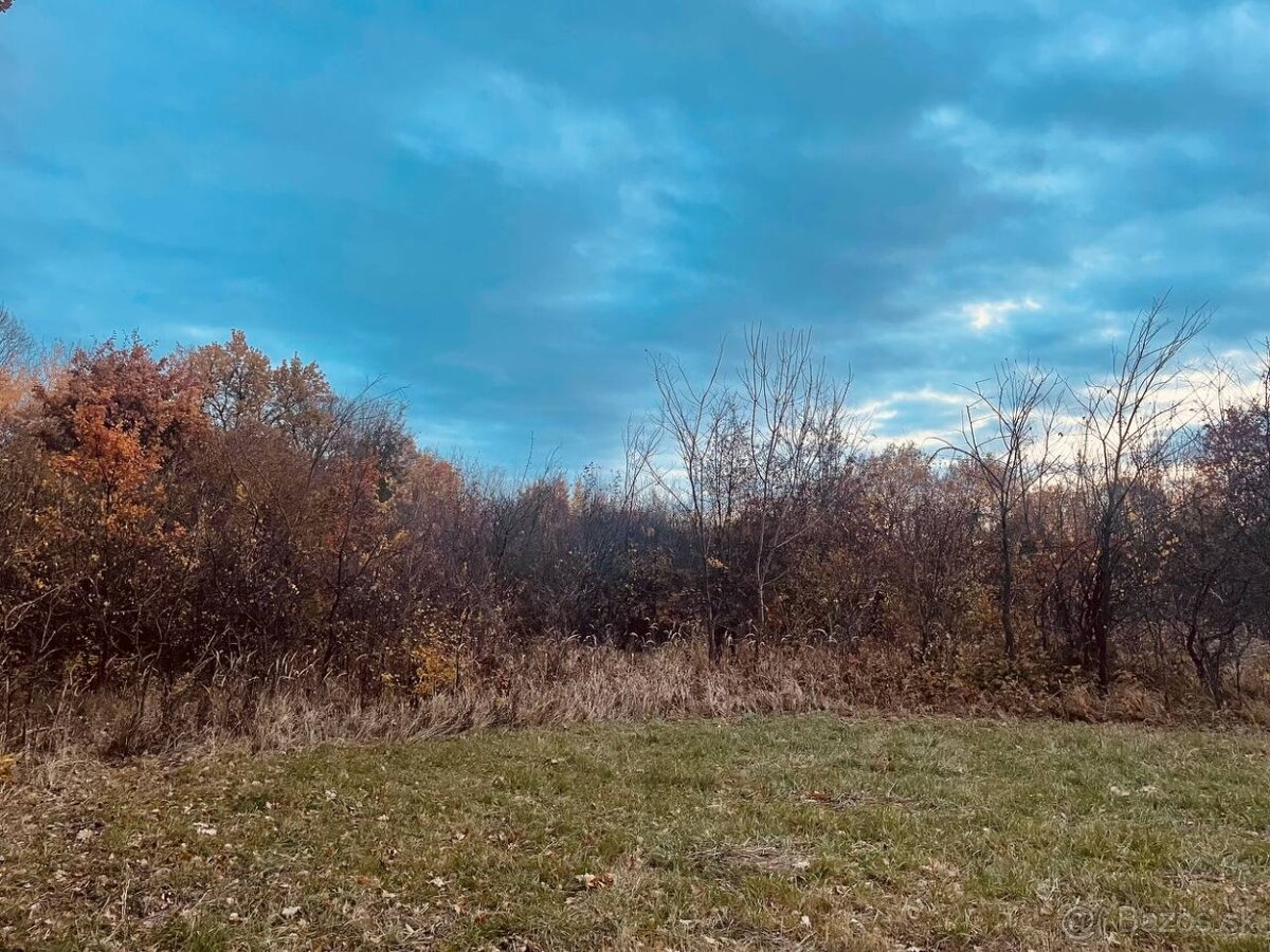 Pozemok - Lúka, Malé Leváre, 26 385 m² - 6