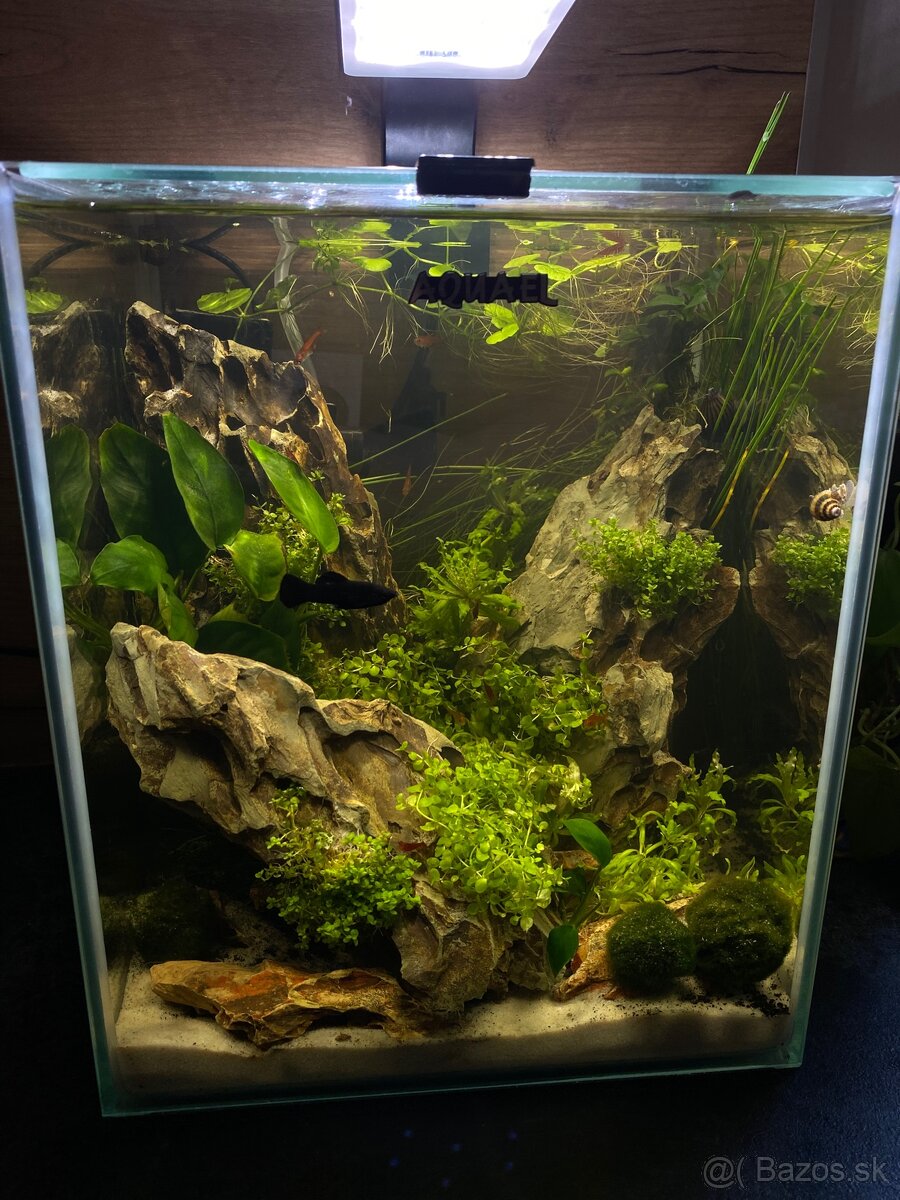 Zabehnuté nano akvárium - 6