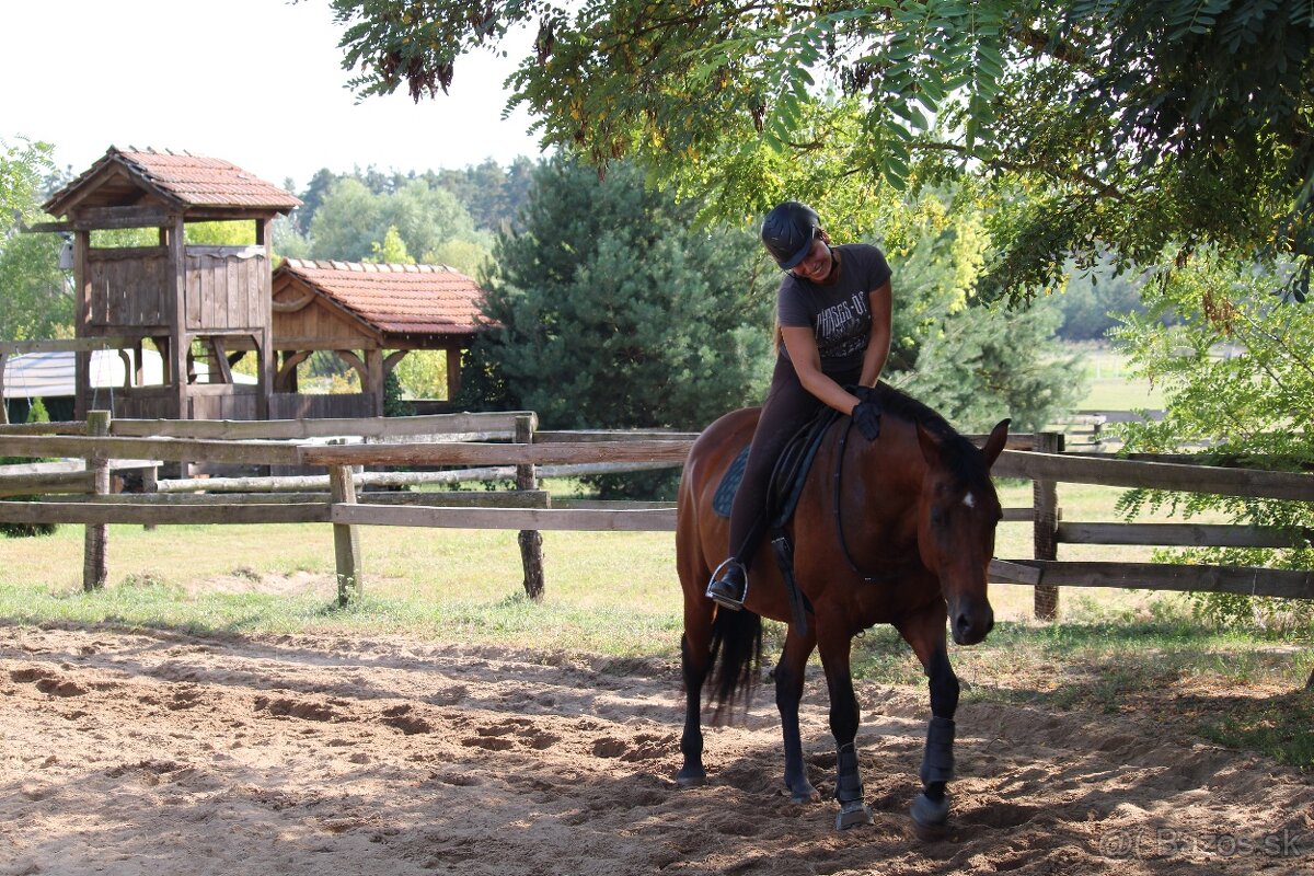Všestranná kobyla - 6