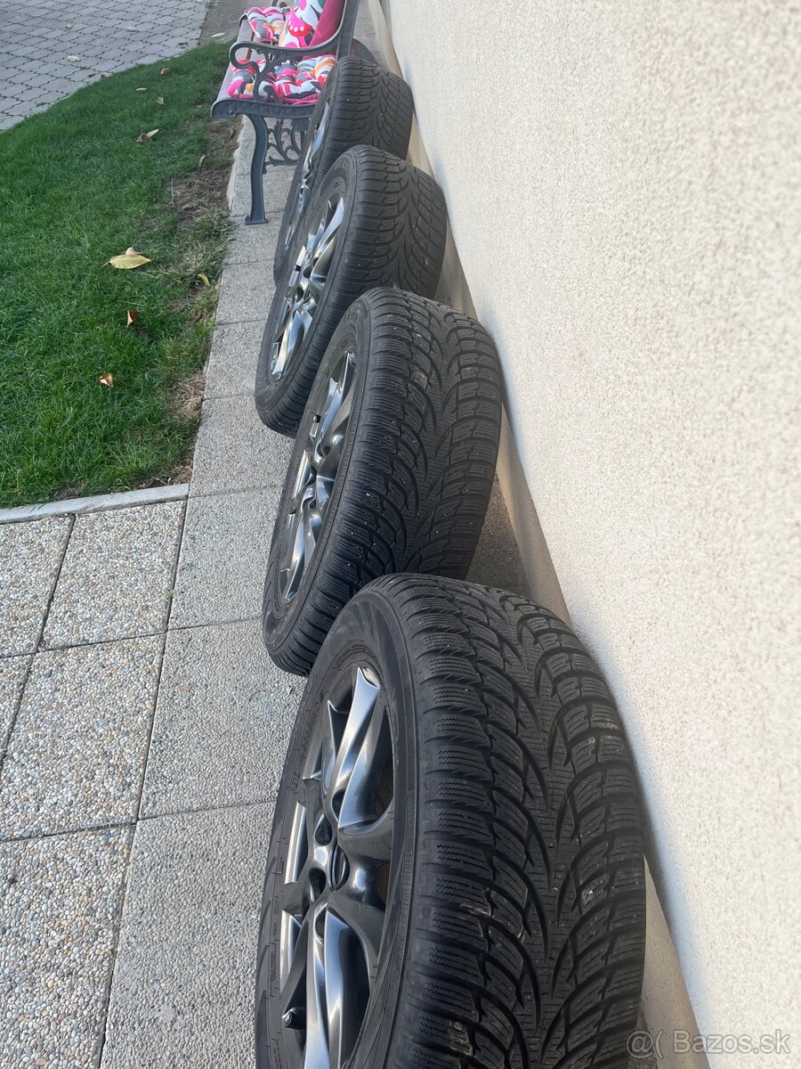 Zimna sada MAZDA R16 - 6