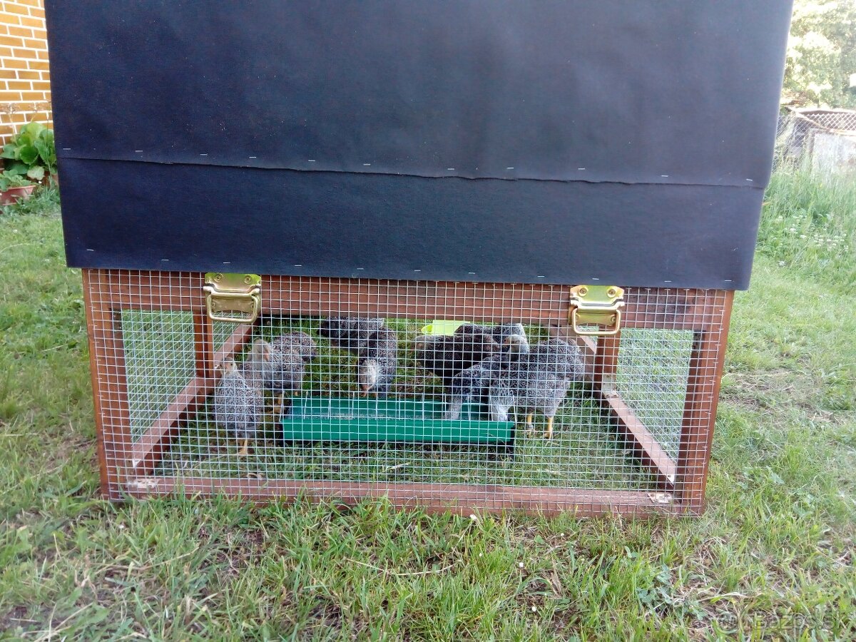 Prenosná voliéra s kurínom - 6