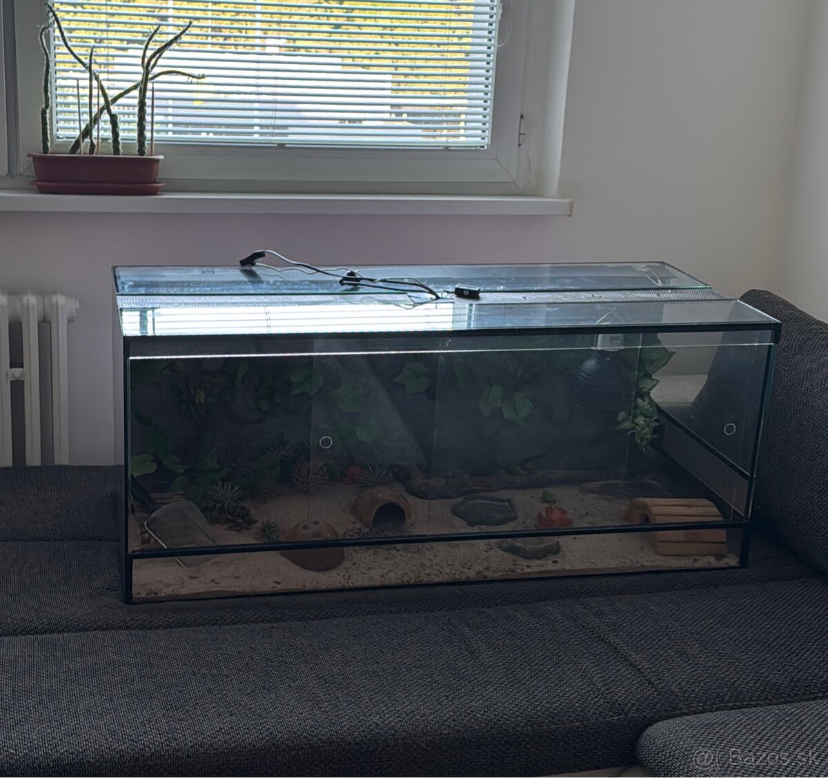 Veľké zariadené terárum pre gekončíka (120 x 50 x 50cm ) - 6