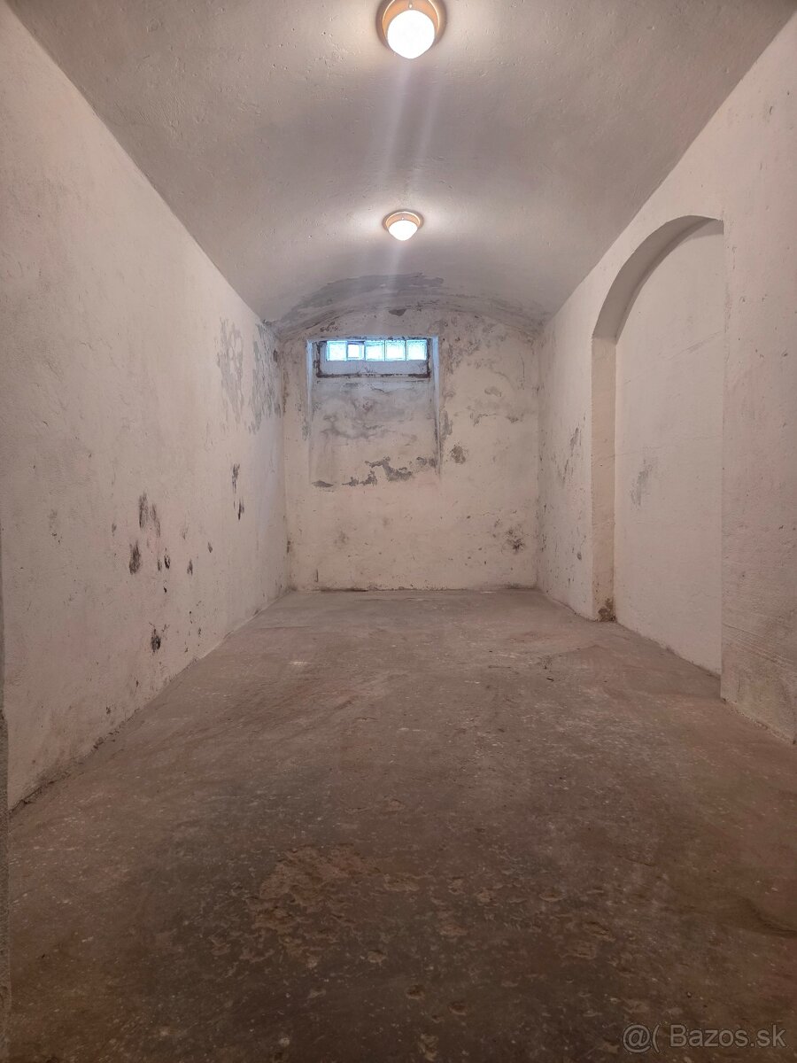 Predám alebo prenajmem nebytový priestor - 6