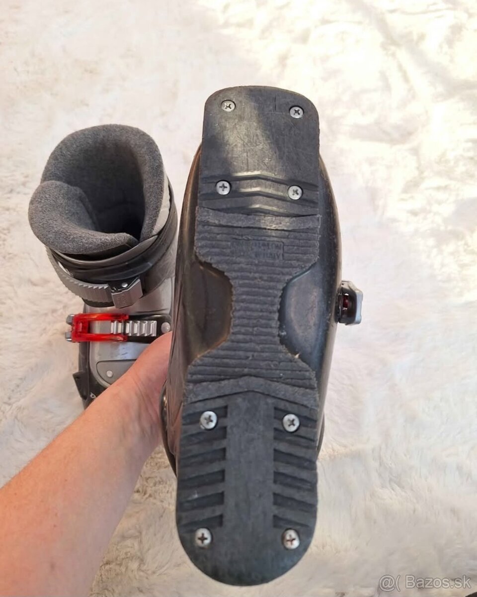 Lyže + lyžiarky - 6