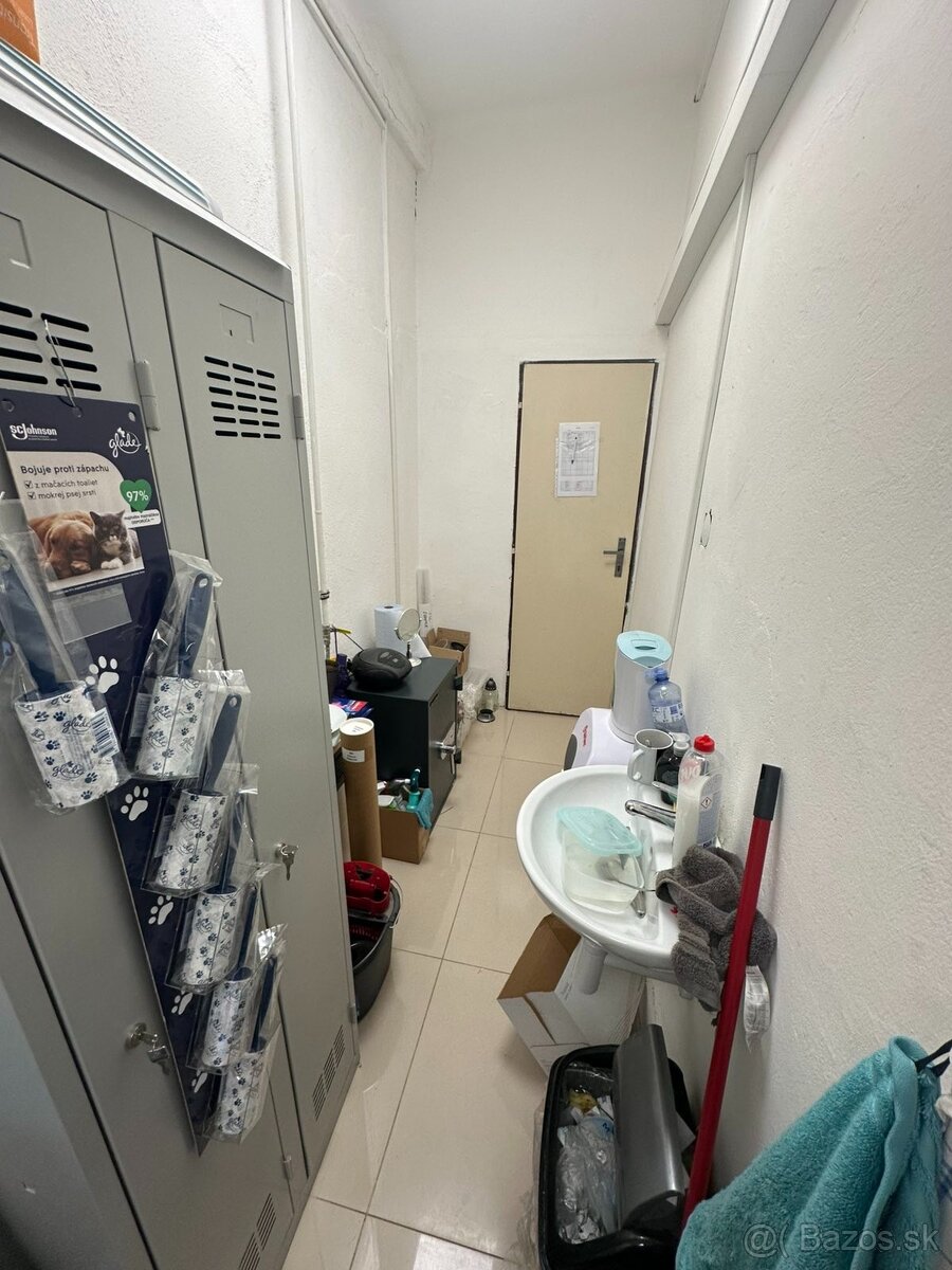 Prenájom rodinného domu Diakovce na obchodné účely - 6