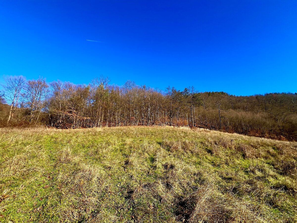 PREDAJ- POZEMOK PRI LESE - VOZNICA - 6