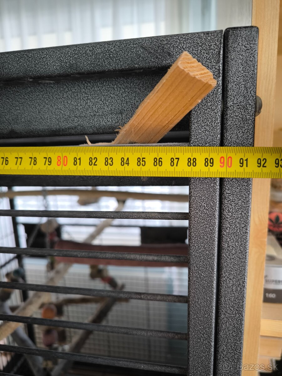 Žako papagáj šedý - 6