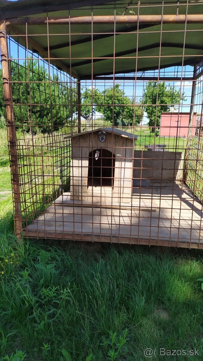 Predám voliéru, búdu a prepravnú klietku pre psa - 6