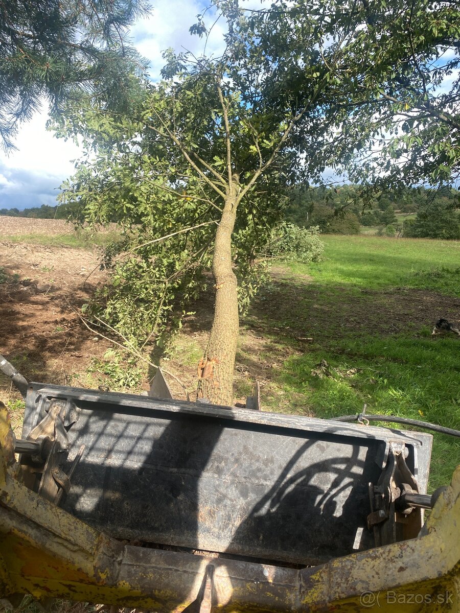 Kliešte na trhanie stromov / krovín - 6