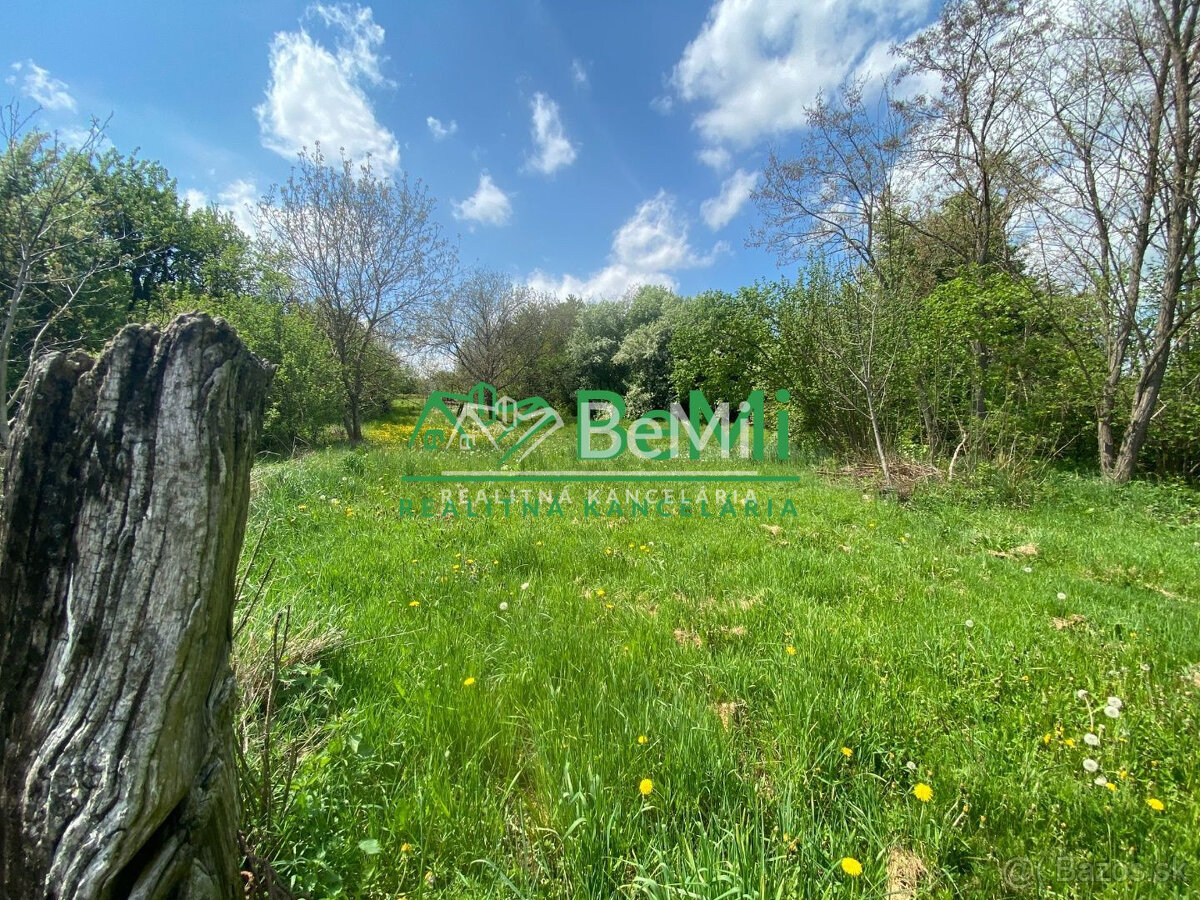 Pozemok v obci Sľažany 3 595 m2 intravilán ID 558-14-MIG - 6