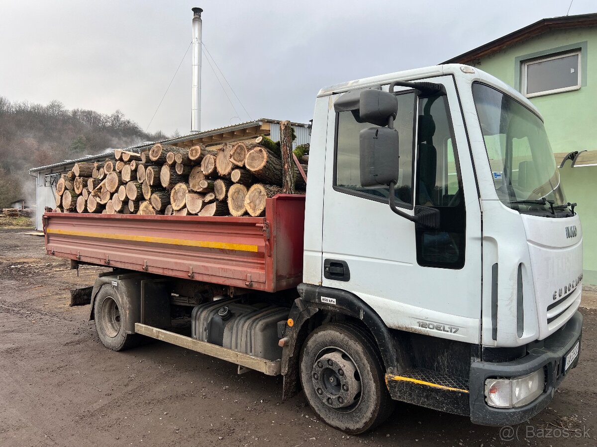 PALIVOVE DREVO METROVICA - 6