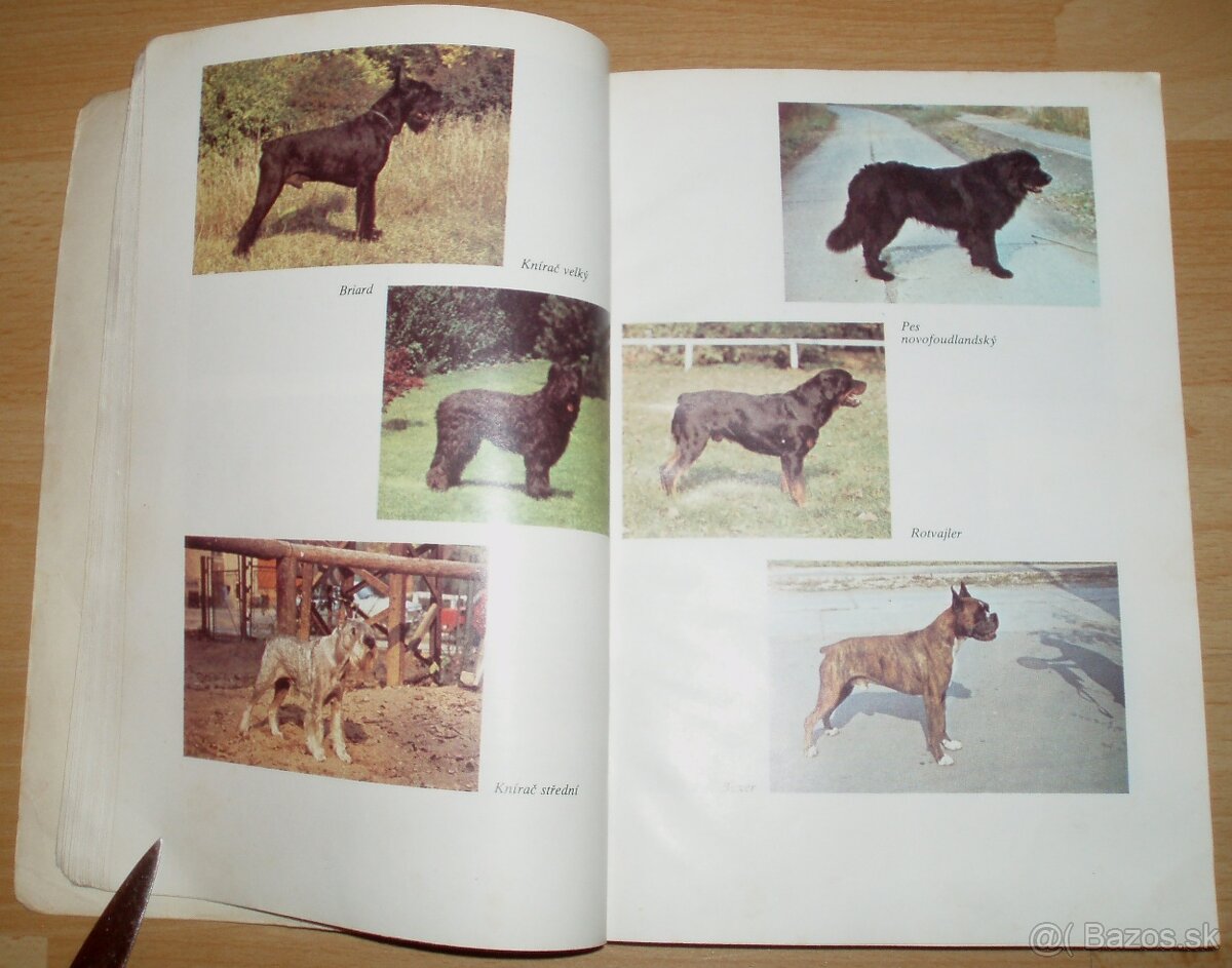 Pes a jeho výcvik - 6