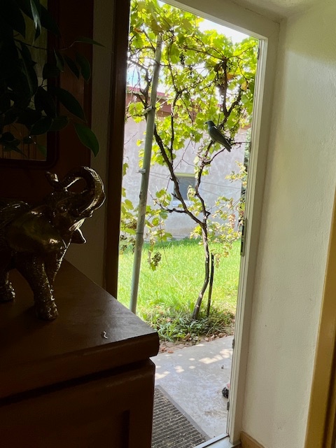 3-izb.domček vo Veľkom Lapáši, pozemok 27,5 ára - 6