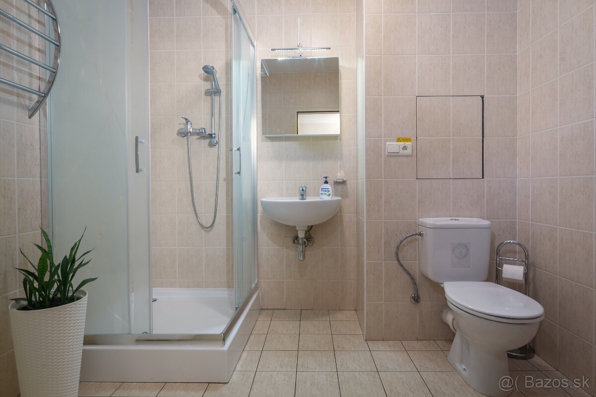 Prenájom Apartmánu v centre Donovál - 6