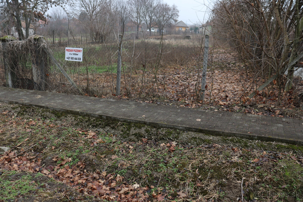 Predám stavebné pozemky v obci Belá pri Štúrove - 6