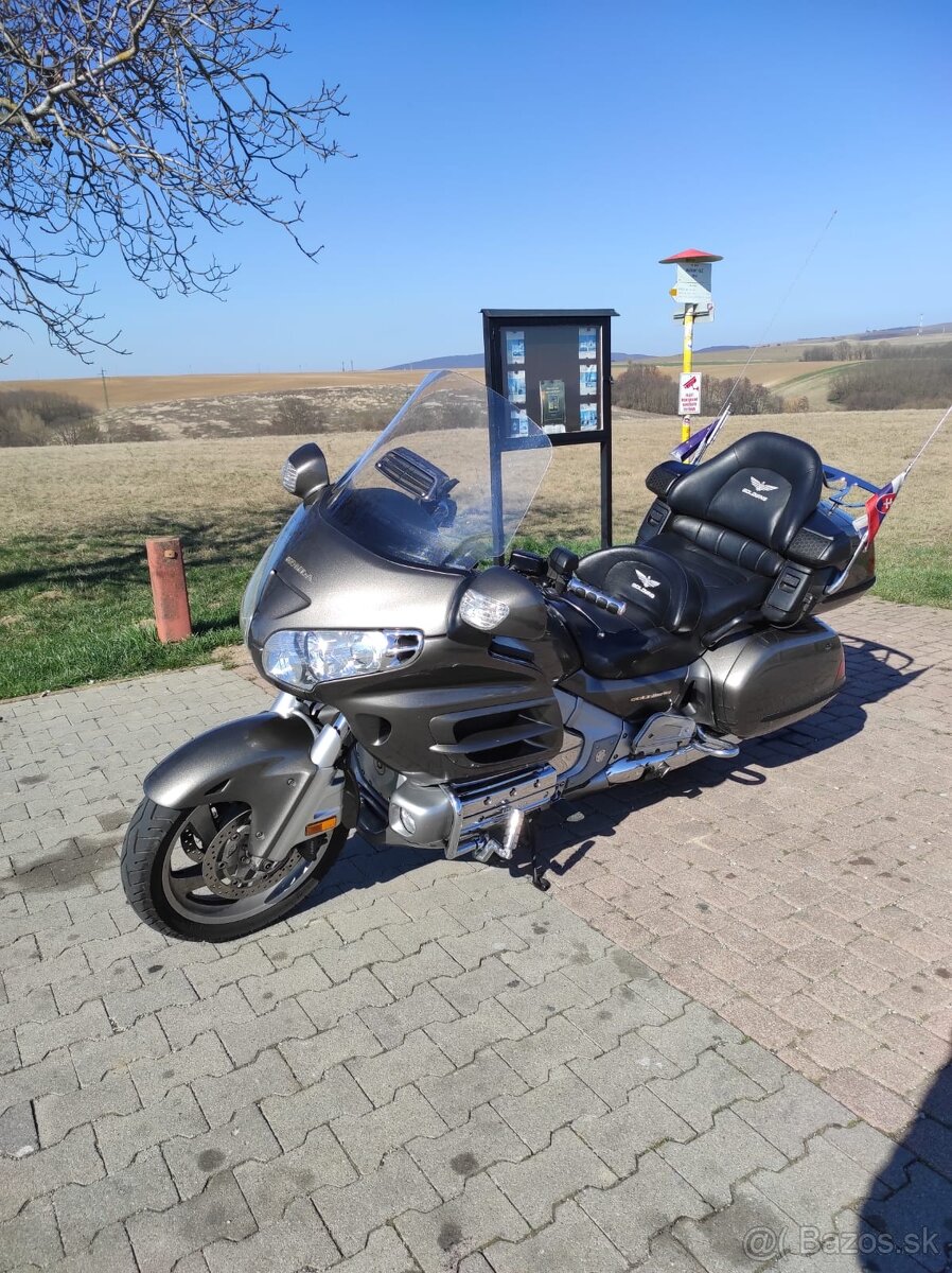 Goldwing - 6