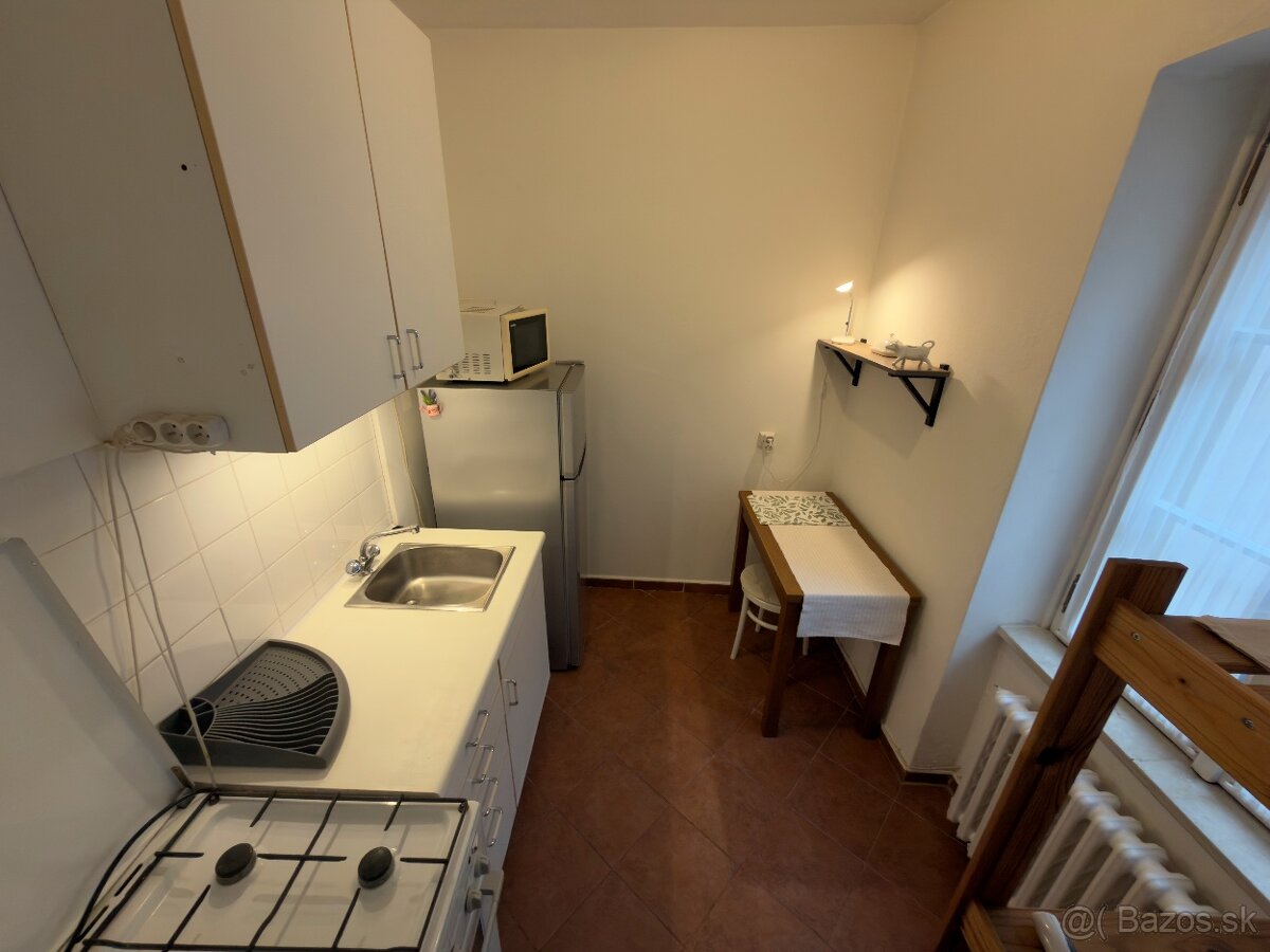 Veľký 1-i byt v pešej zóne centra Bratislavy (bez provízie) - 6