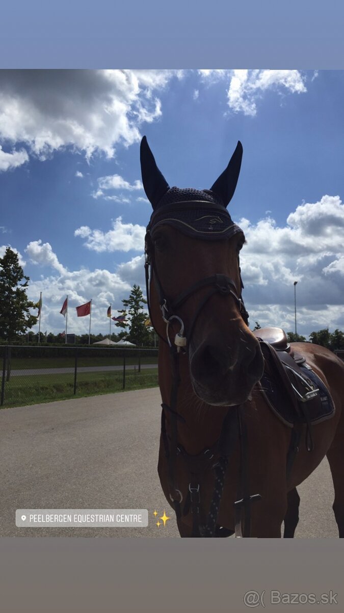 Vycvik koni, jazdcov - 6