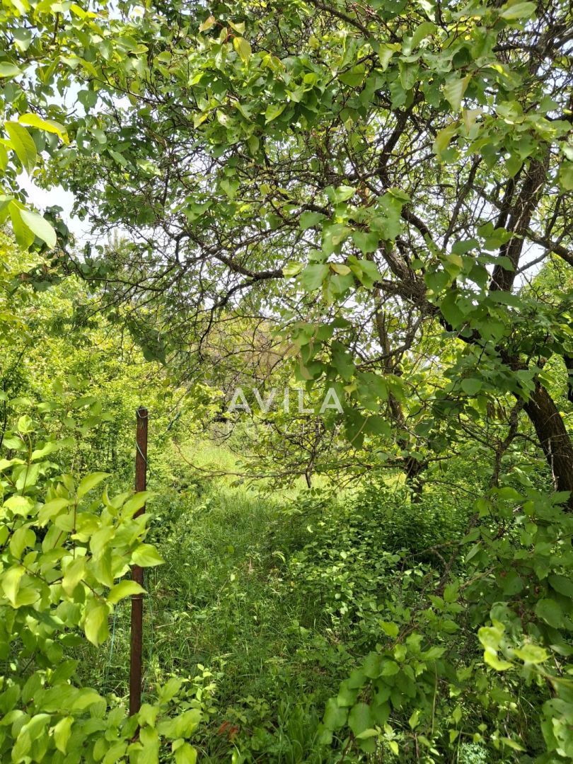 Na predaj: záhrada v atraktívnej lokalite Nové Mesto nad Váh - 6