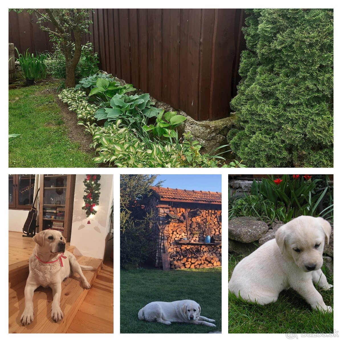 Prenájom chalupy na prázdniny, víkend na relax - 6