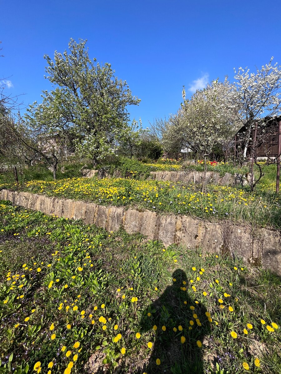 nadherna zahrada HERINGEŠ - 6