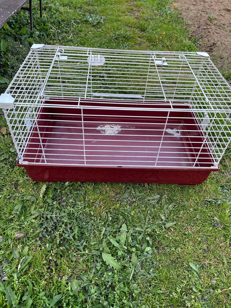 Predám klietku pre malého domáceho miláčika - 6