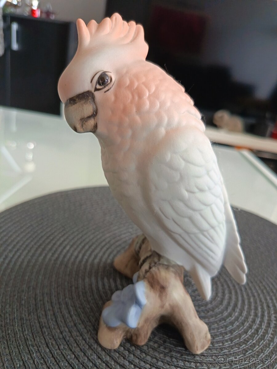 Papagáj Kakadu Royal dux - 6