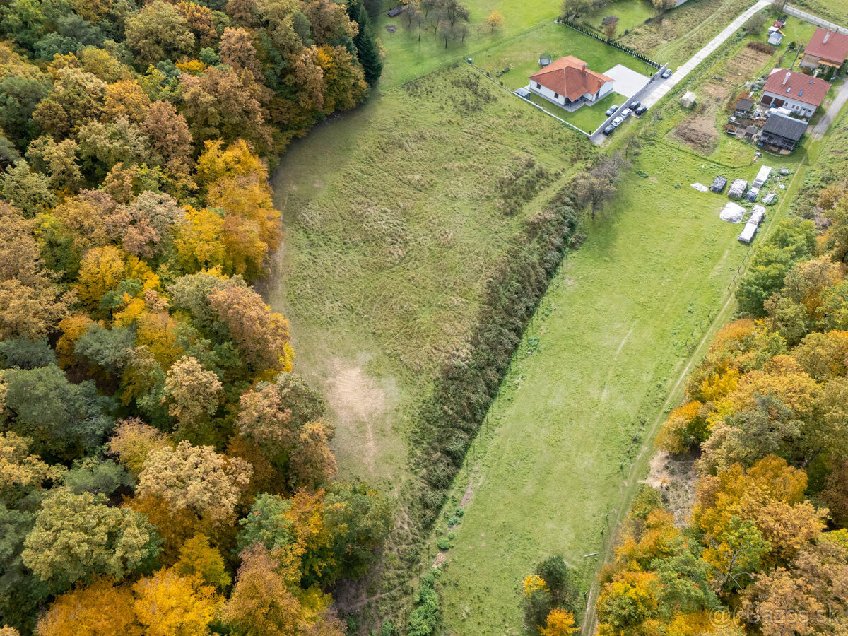 Lukratívna ponuka pozemku v obci Brezolupy 8040m2 - 6