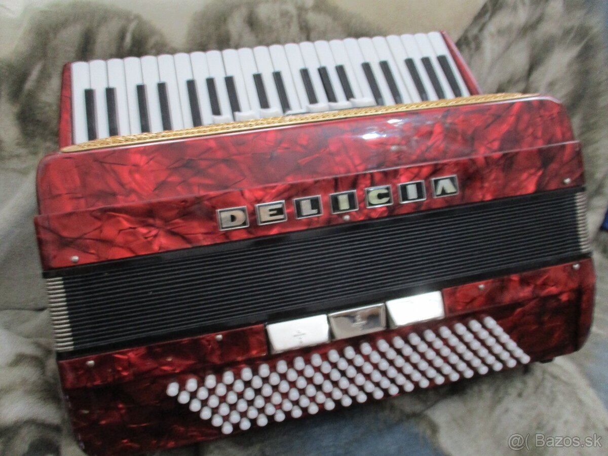 harmonika delicia - 6