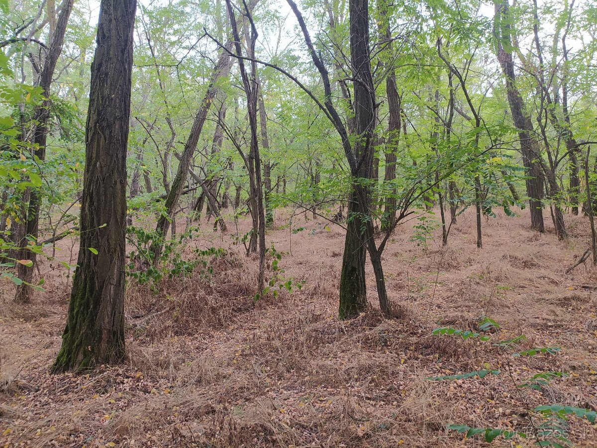 Hľadá sa nový majiteľ jedinečného pozemku v obci Láb. - 6