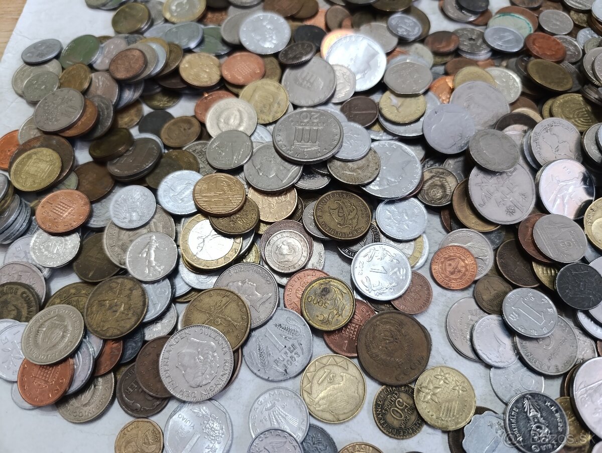 Mince 3.5kg lot5 - 6