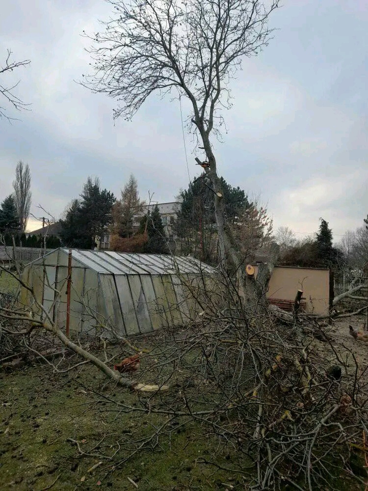 Celoročná údržba záhrad či pozemkov - 6