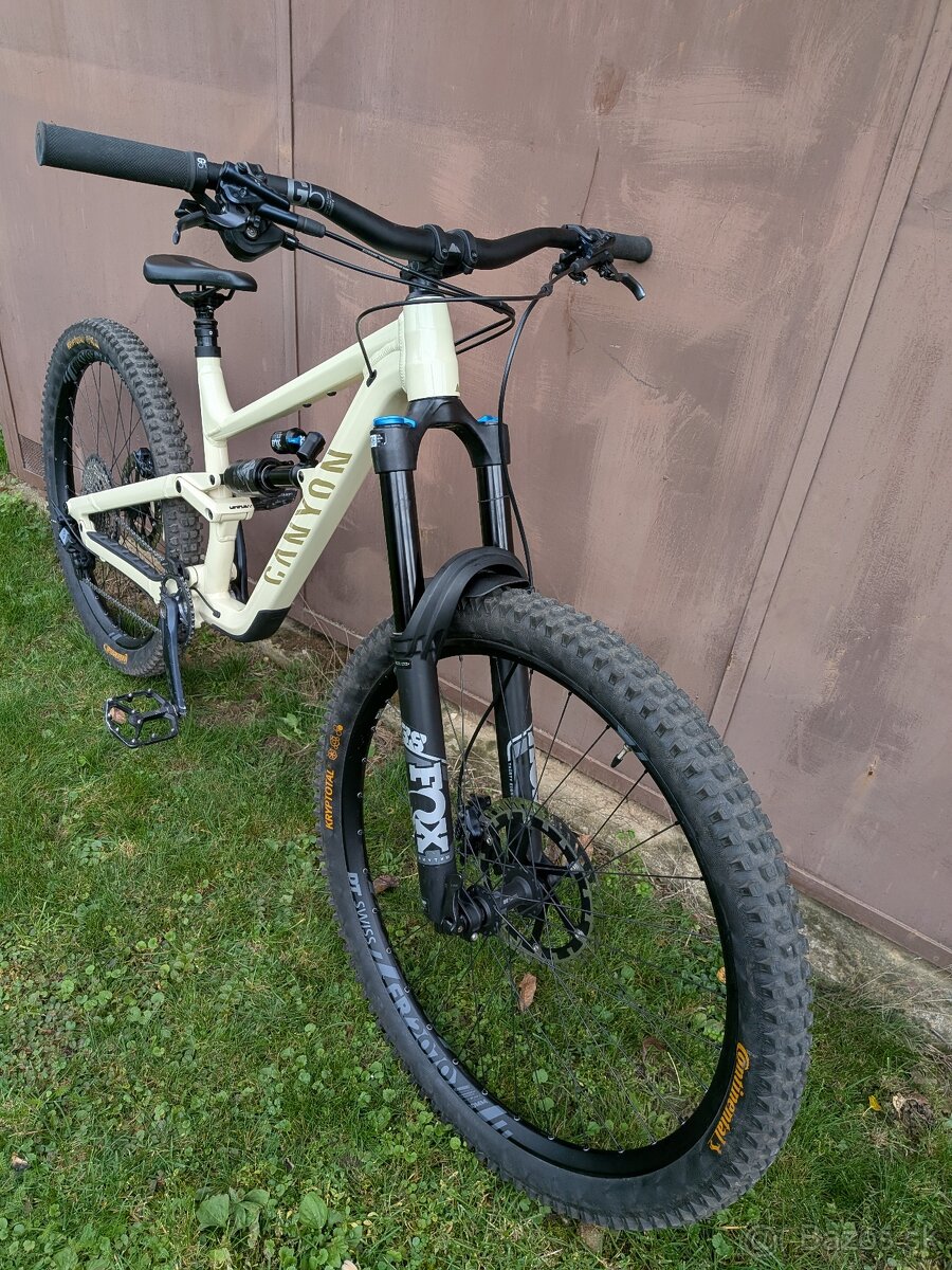 Canyon Torque Mullet AL - 6